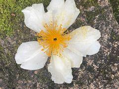 -云峰山自然风景区