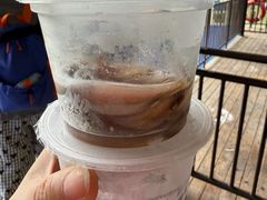 -广州长隆飞鸟乐园