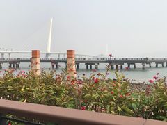 -深圳湾公园(南山区)