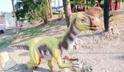 -恐龙探索乐园(磁器口店)