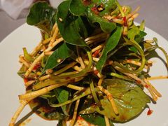 凉拌折耳根-三江里·宜宾川菜(亚运村店)