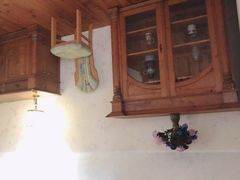 -金山农民画村-枫泾波兰倒置屋