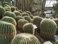 -南山植物园