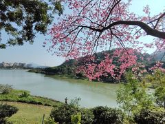 -风云岭森林公园