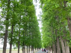 -嘉北郊野公园