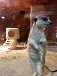 -酷嗒动物文化乐园(cutezoo西溪乐天城店)