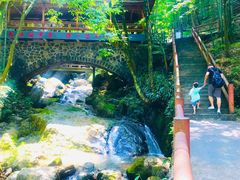 -藏龙百瀑风景区