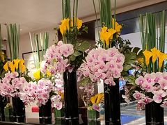 -南海渔村(珠江新城店)