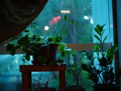-园丁顿西餐厅(亦庄创新大厦高新视听产业园店)
