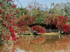 -中国科学院西双版纳热带植物园