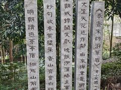 -重庆彩云湖湿地公园