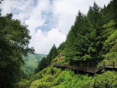 -苏木山森林公园