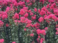 -杭州城北体育公园