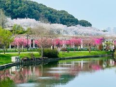 -苏州上方山国家森林公园