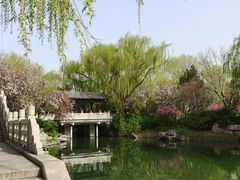 -济南大明湖景区