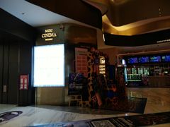 -万象影城(石家庄万象城IMAX激光店)
