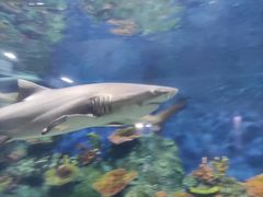 -泉州海丝野生动物世界