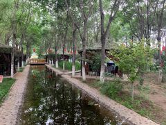 -草根堂农场