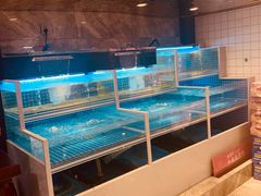 水产区-袁老大龙虾(石鼓路总店)