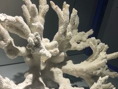 -福州罗源湾海洋世界旅游区