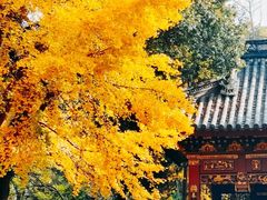 -汇龙潭