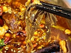 -蓉三少冒烤鸭·四川小吃集(北京首店)