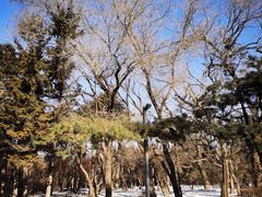 -长春市南湖公园