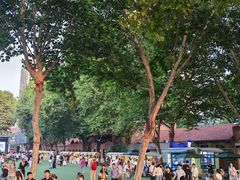 -西安电影制片厂