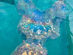 -上海潜殿潜水中心