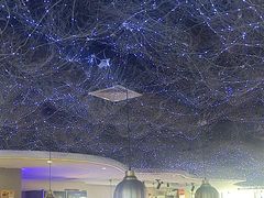 -徐记小怪兽肉蟹煲(中央大街店)