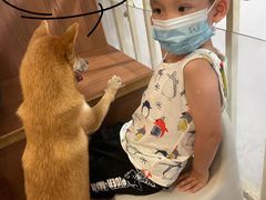 -柯斗斗主题餐厅·狗咖·围炉煮茶·茶饮(国瑞升平里店)