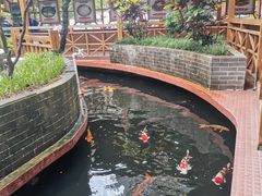 -侠成水上农庄(工业大道店)