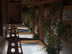 -华远汤泉