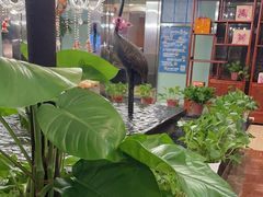 -汤泉良子.足疗按摩.SPA(中关村店)