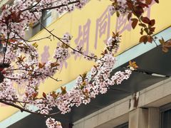 -秦汉胡同国学书院(天鹅湾分馆)