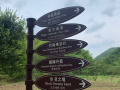 -宁波浙东大竹海景区