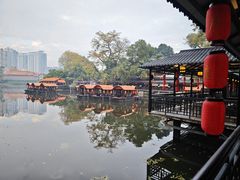 -侨美·唐荔园·40年地道粤菜