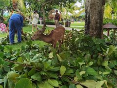 -三亚亚龙湾天域度假酒店