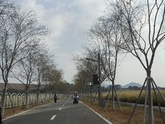-光明小镇欢乐田园