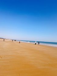 -万达宝贝王(青岛路万达广场店)