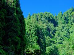 -龙苍沟森林公园