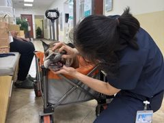 -美联众合动物医院·24h转诊中心