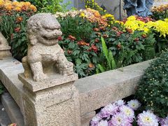 -上海醉白池公园