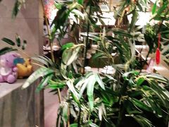 -老头儿油爆虾(星光一期店)
