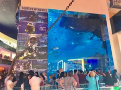 -迪拜水族馆及水下动物园