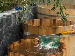 -田园印象·成都土菜院子(华阳店)