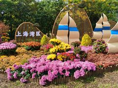 -上海共青森林公园