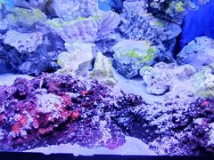 -多彩贵州城极地海洋世界