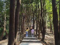 -火炉山森林公园