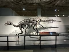 -大连自然博物馆